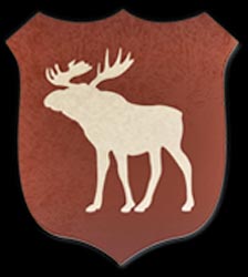 Bridgeport Summer Camps